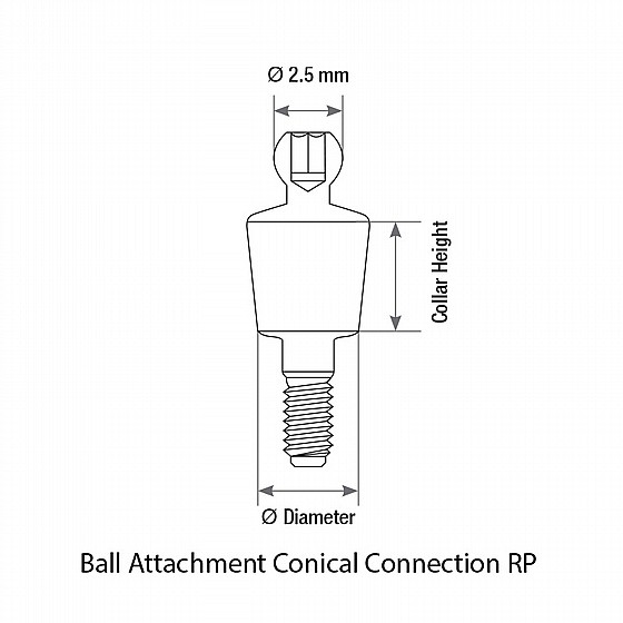  ���� ����� ��� ������ ���� DSI Ball Attachment Conical Connection Abutment RP
