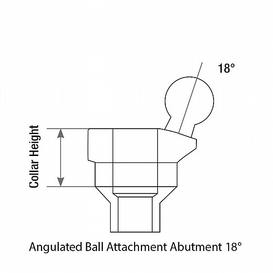 ���� ����� ��� ������ ������ 18� DSI Angulated Ball Attachment Abutment