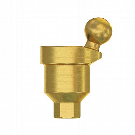 ���� ����� ��� ������ ������ 18� DSI Angulated Ball Attachment Abutment