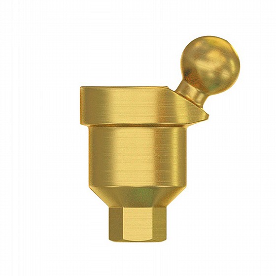 ���� ����� ��� ������ ������ 30� DSI Angulated Ball Attachment Abutment