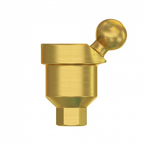 ���� ����� ��� ������ ������ 40� DSI Angulated Ball Attachment Abutment