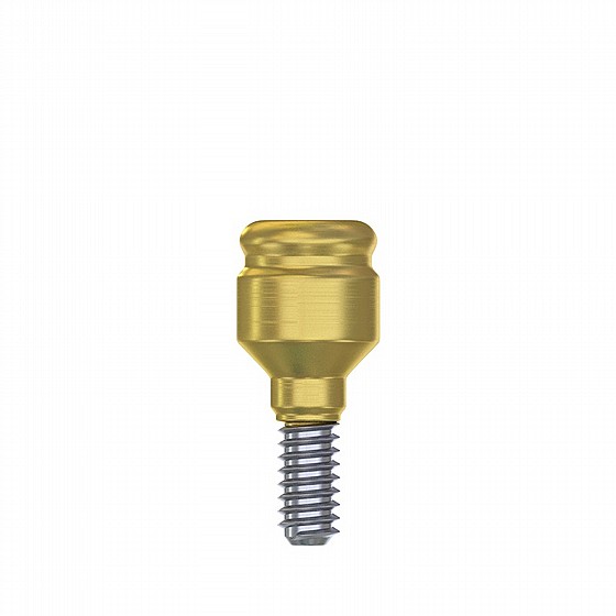 ���� ������ ��� ���� 0.5-6 �"� ����� 2.42 �"� ��� ��� DSI Straight Loc-In Abutment Regular