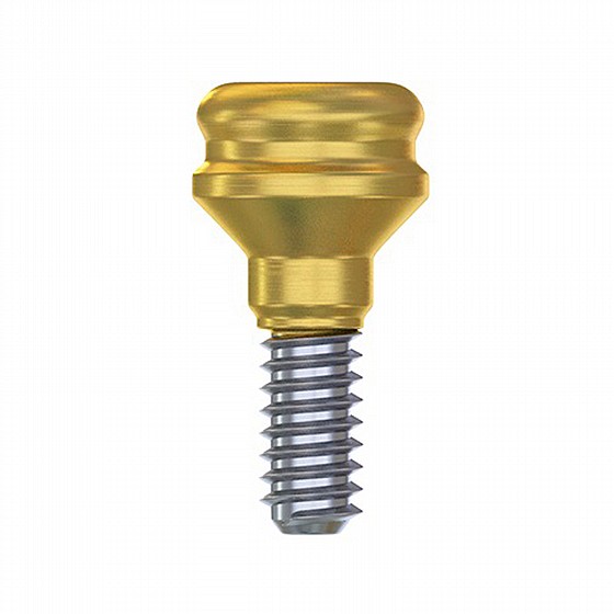 ���� ������ ��� ���� 0.5-6 �"� ����� 2.42 �"� ��� ��� DSI Straight Loc-In Abutment Regular