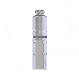 ����� ����� ��� ���'��� DSI Analog for DSI-Lock Abutment