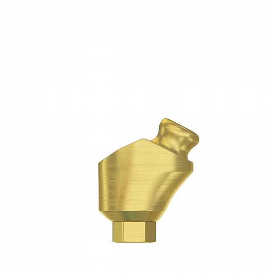  ���� ��� ������ ������� ������ 1-4 �"� DSI-Lock Abutment Angulated 18�