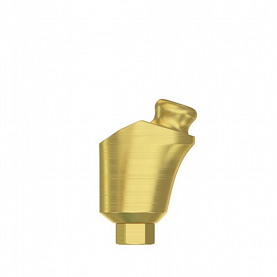 ���� ��� ������ ������� ������ 1-4 �"� DSI-Lock Abutment Angulated 30�