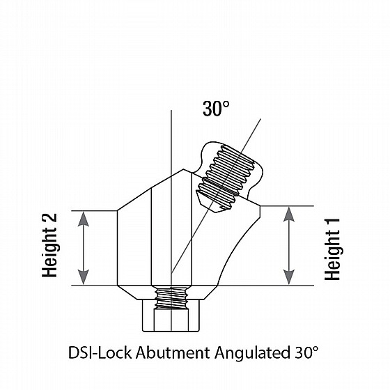  ���� ��� ������ ������� ������ 1-4 �"� DSI-Lock Abutment Angulated 30�