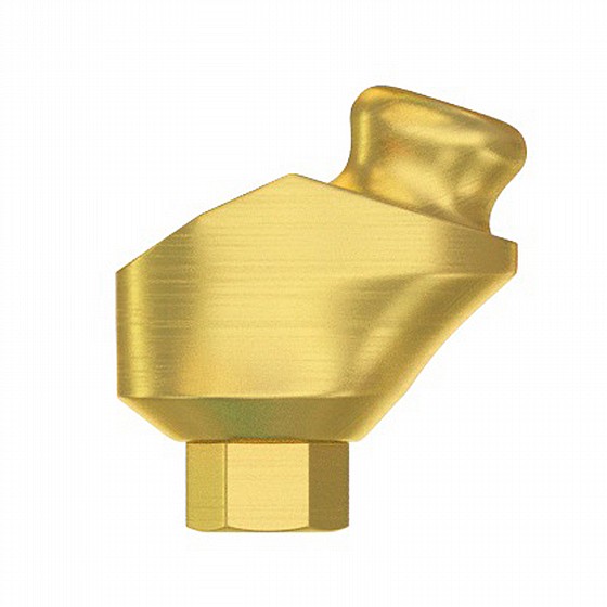  ���� ��� ������ ������� ������ 1-4 �"� DSI-Lock Abutment Angulated 30�