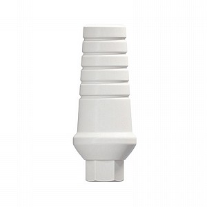 ���� ����� ���� ��� ��� ����� 2.42 �"� DSI SHOULDER PEEK ABUTMENT