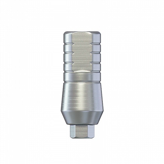 ��� ������� ��������� ����� DSI PROSTHETIC KIT REGULAR PLATFORM