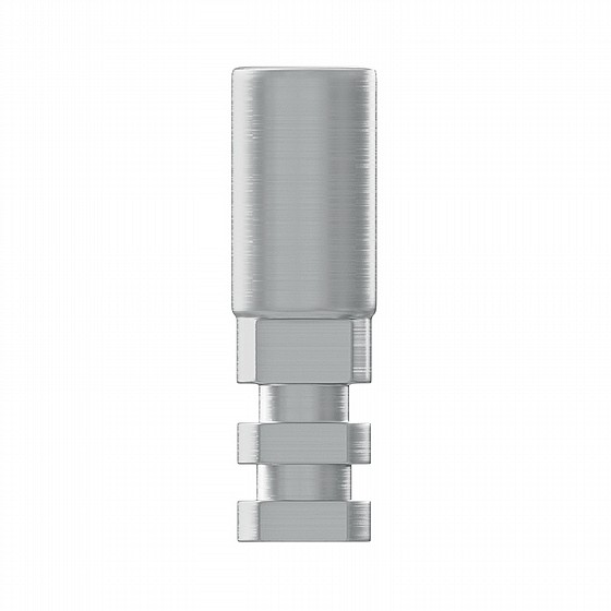 ��� ������� ��������� ����� DSI PROSTHETIC KIT REGULAR PLATFORM