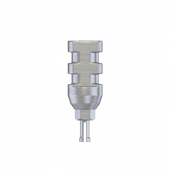 ��� ������� ��������� ����� DSI PROSTHETIC KIT REGULAR PLATFORM