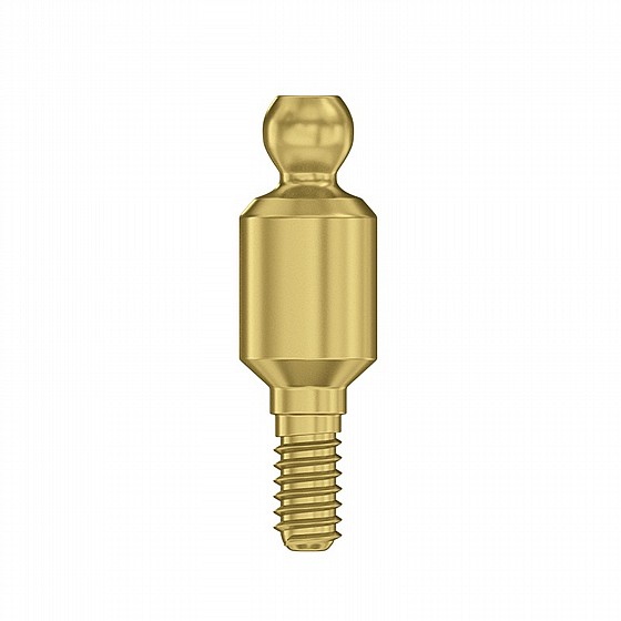  �� ����� ���� ����� ��� ������ ��� 0.5-6 �"� DSI Straight Ball Attachment Basic Kit