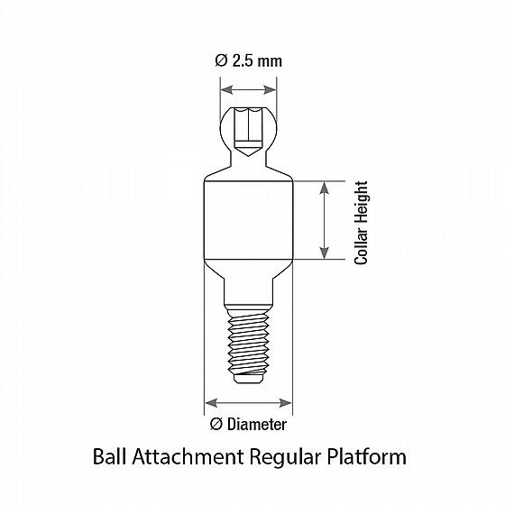  �� ����� ���� ����� ��� ������ ��� 0.5-6 �"� DSI Straight Ball Attachment Basic Kit