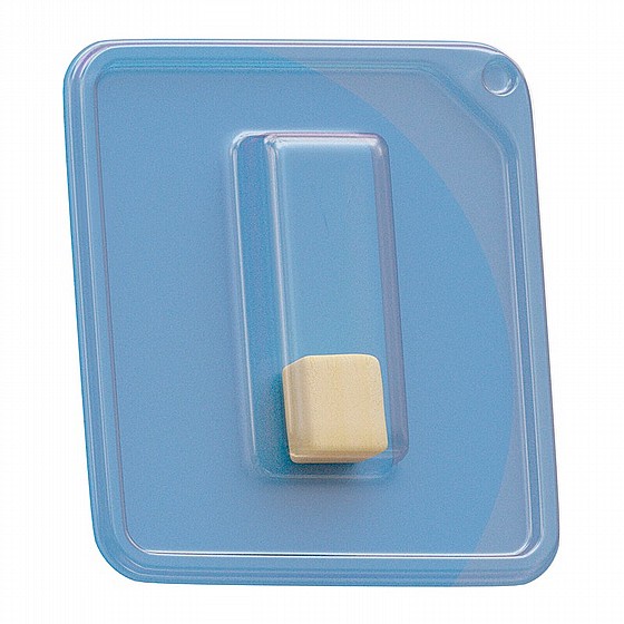  ���� ���� ������ �� ����� DSI Sterile Pure Sponge Collagen Plug