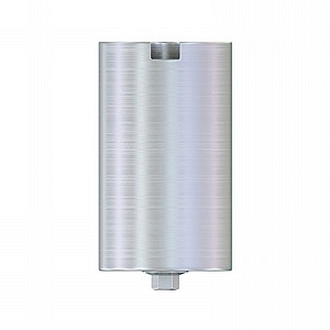 ���� ���/��� DSI CAD/CAM Ti-Custom Premill Abutment Titanium Blank