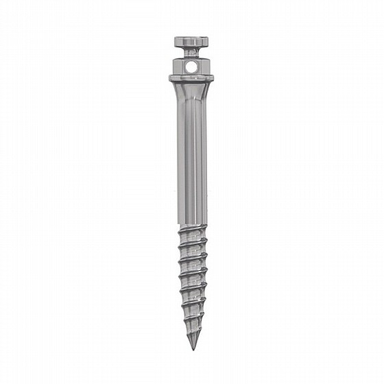 ����-���� ���������� DSI Orthodontic Bone Mini Screw Zygomatic TAD IZC L17mm ?2mm