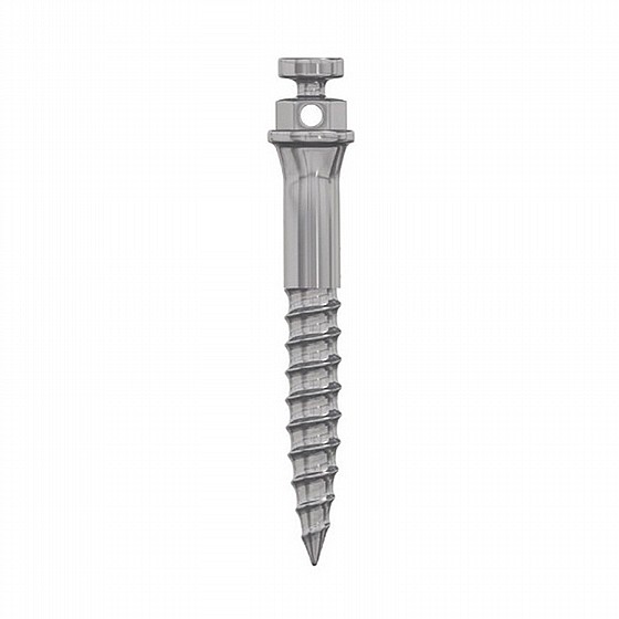 ���� ����� ���������� ?2.0 �"� DSI Orthodontic Buccal Shelf Bone Mini Screw