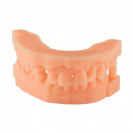 �� ������ SprintRay Dental 3D Printer Heating Cure Chamber Model Resin Cast