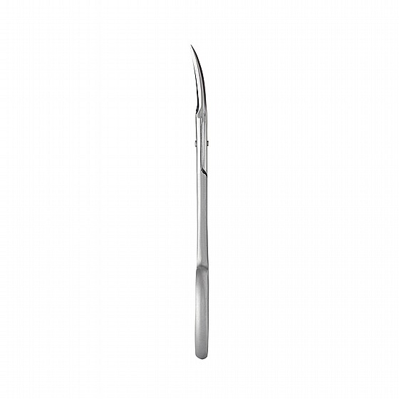 ������� ������ ���� 22��  STALEKS PRO MANICURE SCISSORS SMART 10