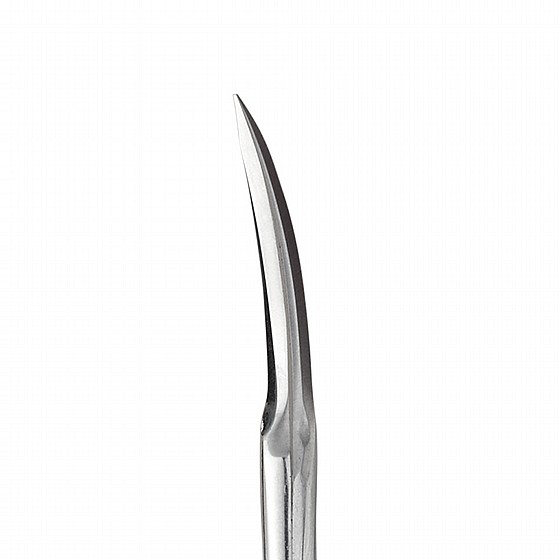 ������� ������ ���� 22��  STALEKS PRO MANICURE SCISSORS SMART 10