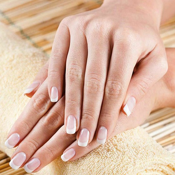 ��� ���� "����" �������/������ Zebra Sanding Bands