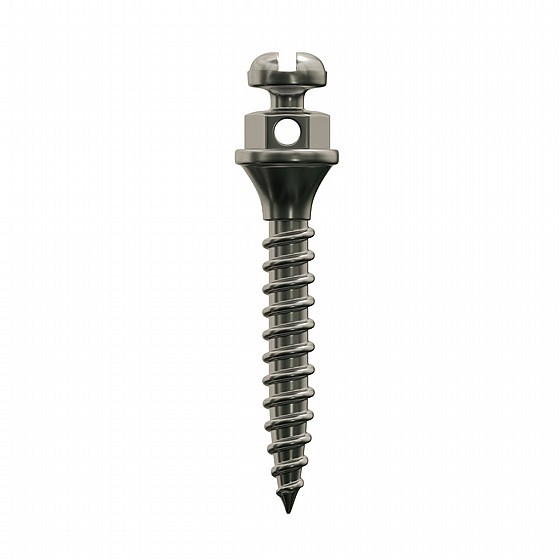 ����� ��� ���������� ������ �� ��� ����  DSI TAD Orthodontic Mini Implant Screw Absolute Anchorage