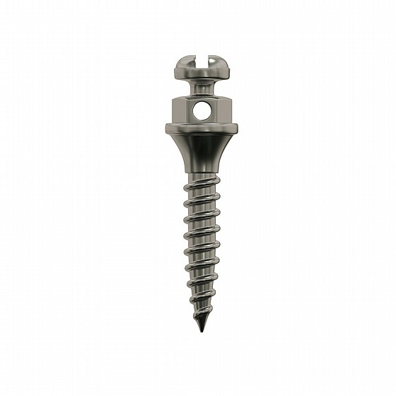 ����� ��� ���������� ������ �� ��� ����  DSI TAD Orthodontic Mini Implant Screw Absolute Anchorage