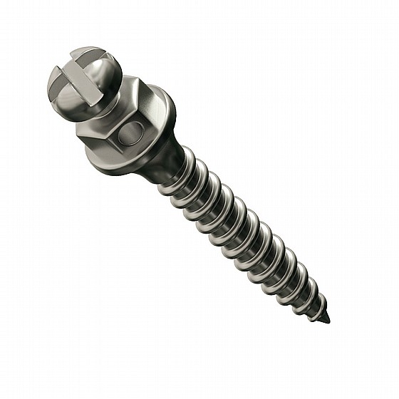 ����� ��� ���������� ������ �� ��� ����  DSI TAD Orthodontic Mini Implant Screw Absolute Anchorage