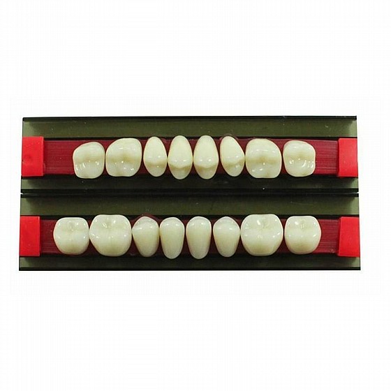 ������ ������ ������, 28 ��, ���� Wunderlux Artificial Acrylic Teeth A3.5
