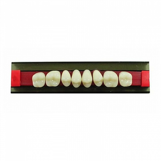 ������ ������ ������, 28 ��, ���� Wunderlux Artificial Acrylic Teeth A3.5