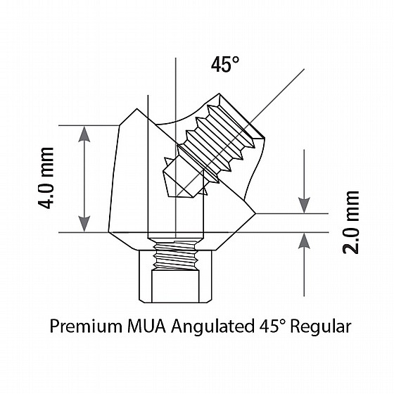 ���� ������ ������ ��� 2.42�� �����-����� ������ 45� ���� 2��  DSI ANGULATED MULTI-UNIT PREMIUM KIT 1.6m
