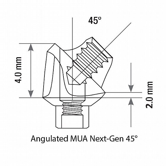 ���� ������ ��� 2.42�� �����-����� ���� �� ������ 45� ���� 2�� DSI Angulated Multi-Unit Next Gen Abutment 1.7m