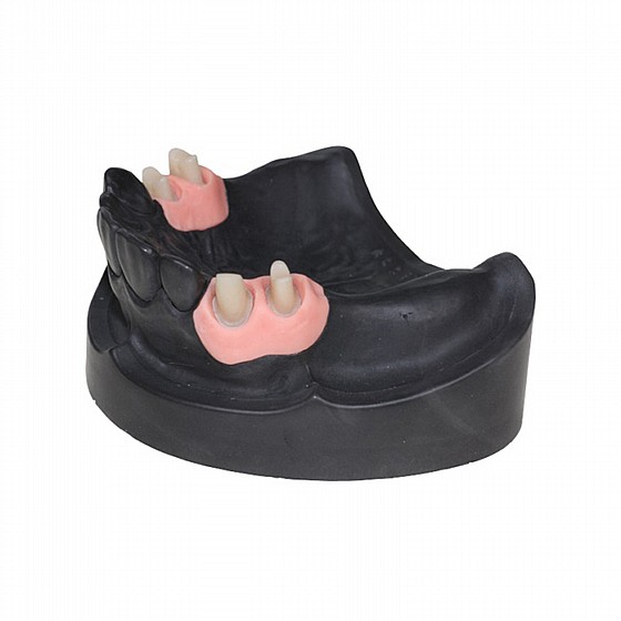 ���� ������� �� ����� 3D ����� ������� ������ ������ ������ �� ������� FeguraMed Gingival Mask