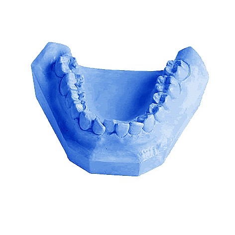 ��� ������ ���� 25�� MEGADENTAL