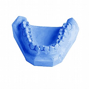��� ������ ���� 25�� MEGADENTAL
