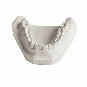 ��� ������ ��� 25�� Megadental