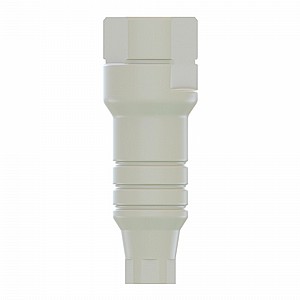  ��� ����� ���� ���� ���� ����� ������ ������   DSI PEEK SCAN POST CONICAL NP3.5mm