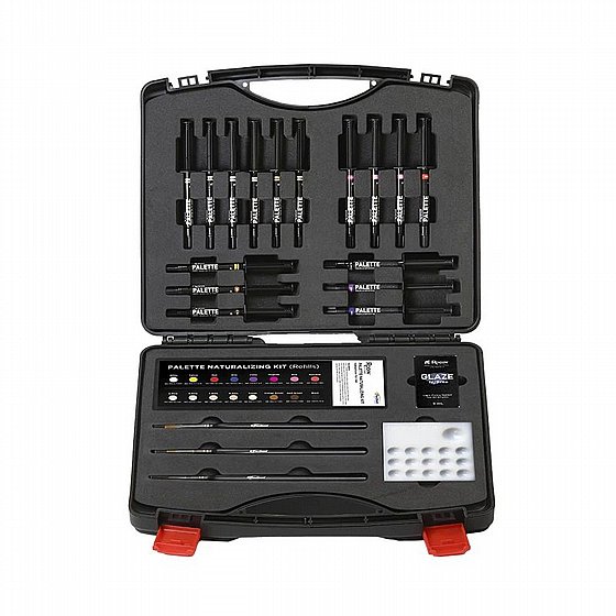 ��� ������ ������ ��������� ������� 16 ������, ����� ��� N2 ������� PacDent Rodin� Palette 2.0 with Glaze N2-Free Kit