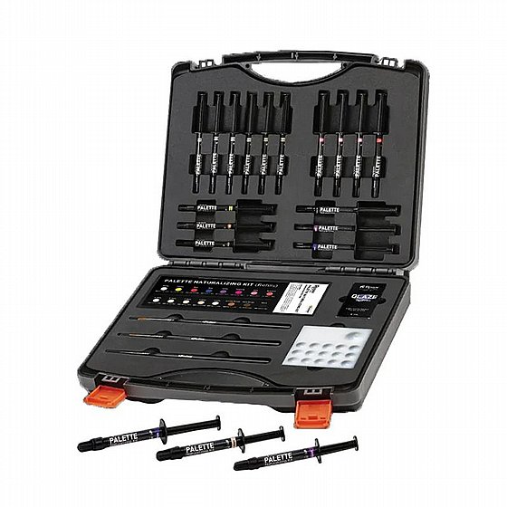 ��� ������ ������ ��������� ������� 16 ������, ����� ��� N2 ������� PacDent Rodin� Palette 2.0 with Glaze N2-Free Kit