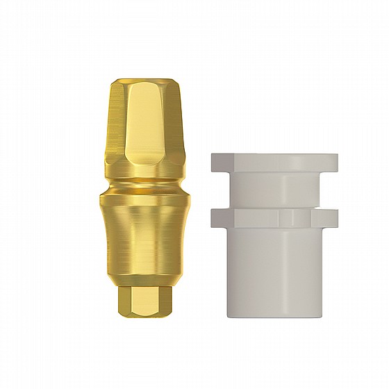 ��� ������� ������� ��������� ����� ����� 1-4�� DSI PROSTHETIC KIT REGULAR PLATFORM