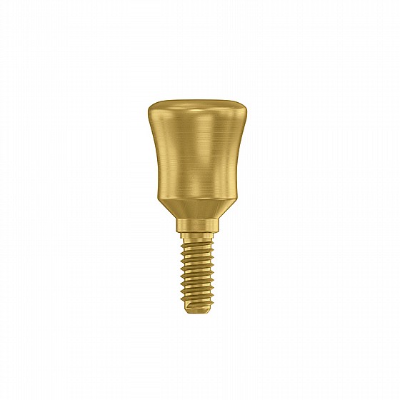 ��� ������� ������� ��������� ����� ����� 1-4�� DSI PROSTHETIC KIT REGULAR PLATFORM