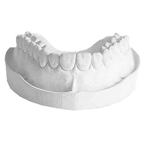  ��� ������ ���� ��� 25�� - ����� ������ - ���"�