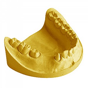  ��� ������ ���'� ���� 12�� ����� GC - ���