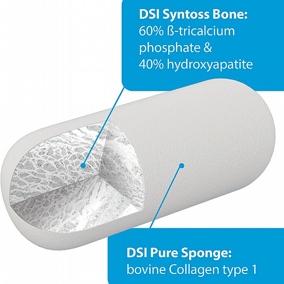 ����� ���� ���� �� ��� ���� 10X20�� 5�� DSI SPONGE GRAFT