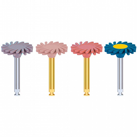 �� ������ ������ ������ ������ ����� ���� DSI Abrasive Disc Polishing EVE TWIST