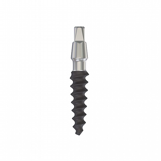  ��� ��� ��� DSI Immediate Implant