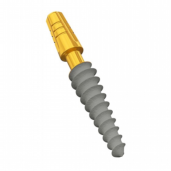 ��� ��� ��� ��� ���� ������ �� 15� DSI Root Shaped Compressive Bendable Implant
