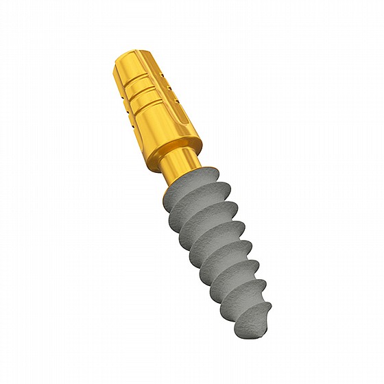  ��� ��� ��� ���� ��� ����� ��� DSI Root Shaped Compressive Implant Short Neck