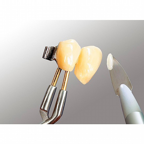 ���� ������ ����� �� ����� ������� ������ Renfert ERGO Acryl